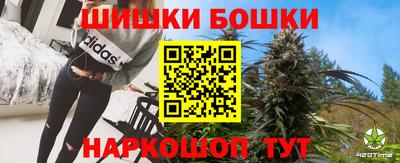 крисы Гатчина