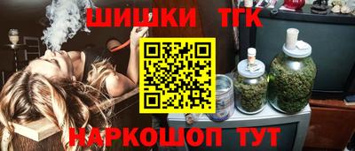крисы Гатчина