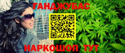 крисы Гатчина
