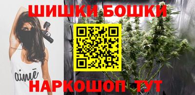 крисы Гатчина