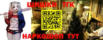 крисы Гатчина