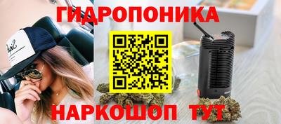 крисы Гатчина