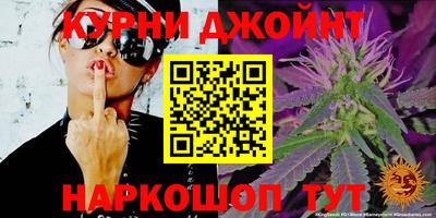 крисы Гатчина