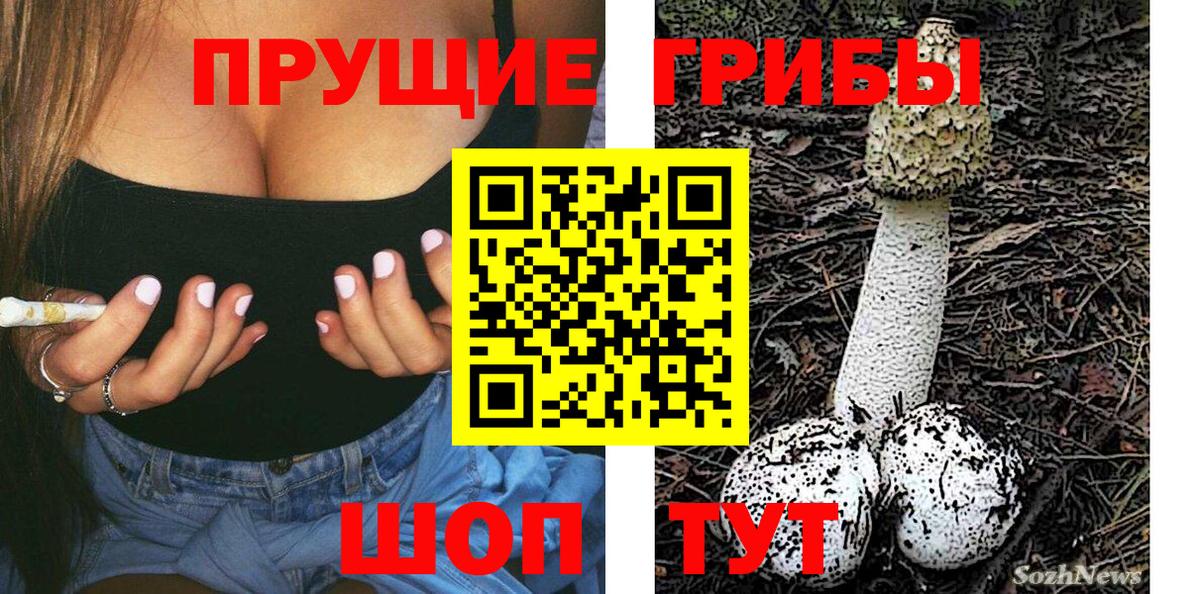 Добрянка  Псилоцибиновые грибы прущие грибы  Псилоцибиновые грибы MAGIC MUSHROOMS  Вход с VPN 
