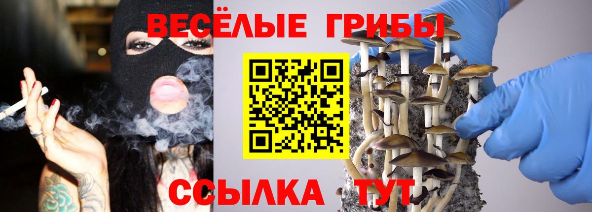 Псилоцибиновые грибы Psilocybine cubensis Добрянка